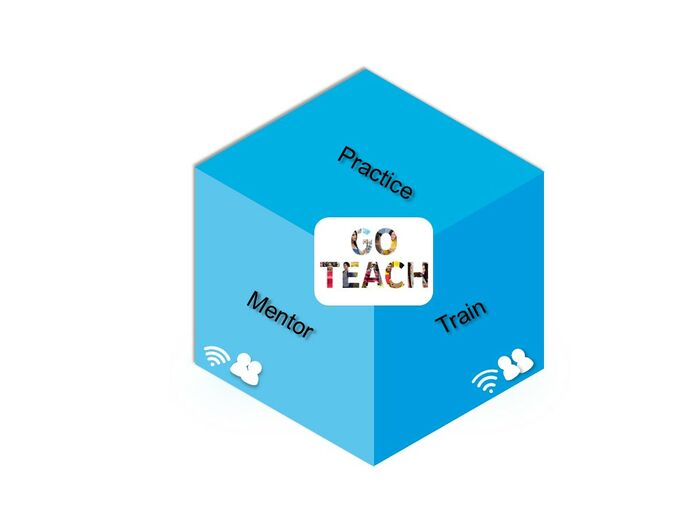 Mentoring Cube.jpg